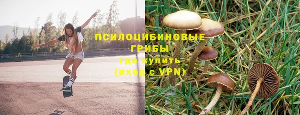 гашик Арсеньев