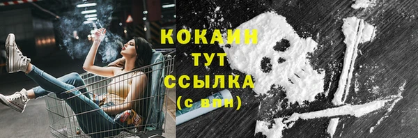 сатива Баксан