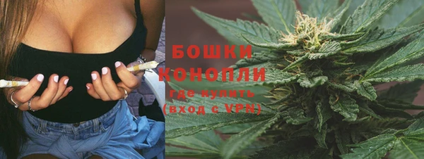 гашик Арсеньев